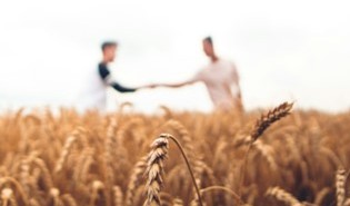 Smart finance strategies for seasonal businesses